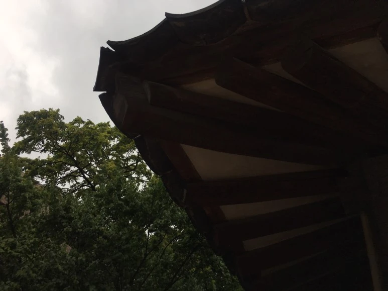 P20180729_154024708_282846ED-4E77-40F3-A953-2D31A5AF8F93.JPG?type=w773