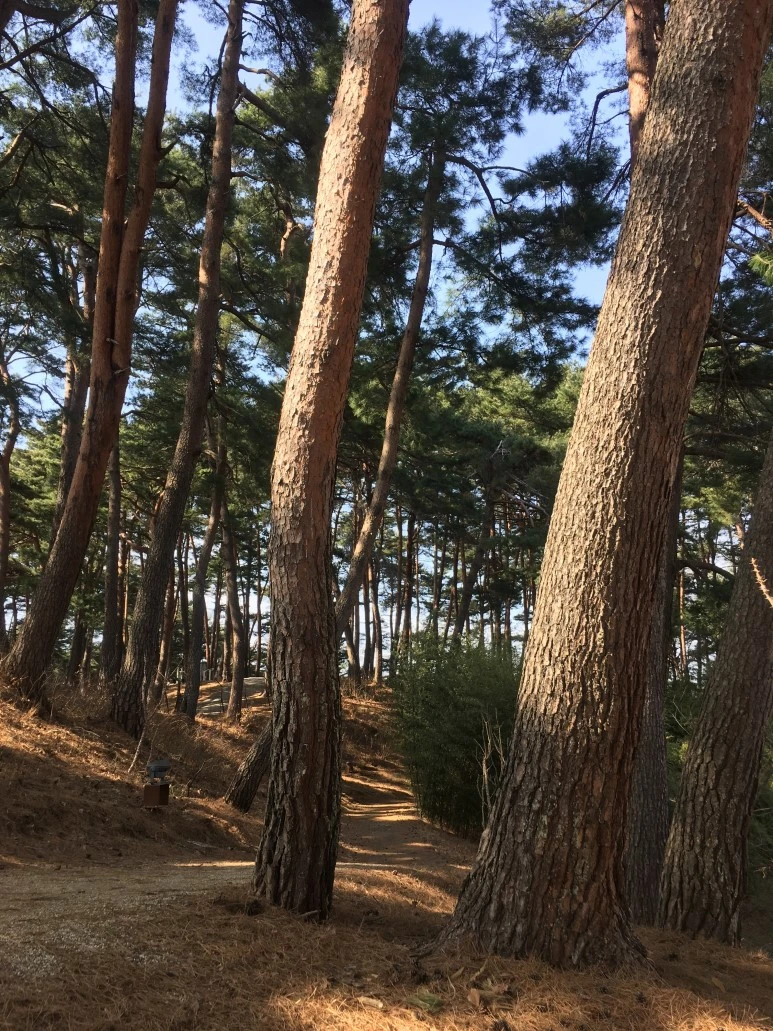 IMG_3081.JPG?type=w773