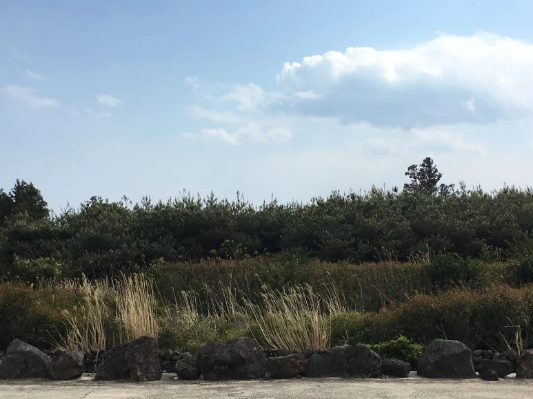 IMG_4374.JPG?type=w773