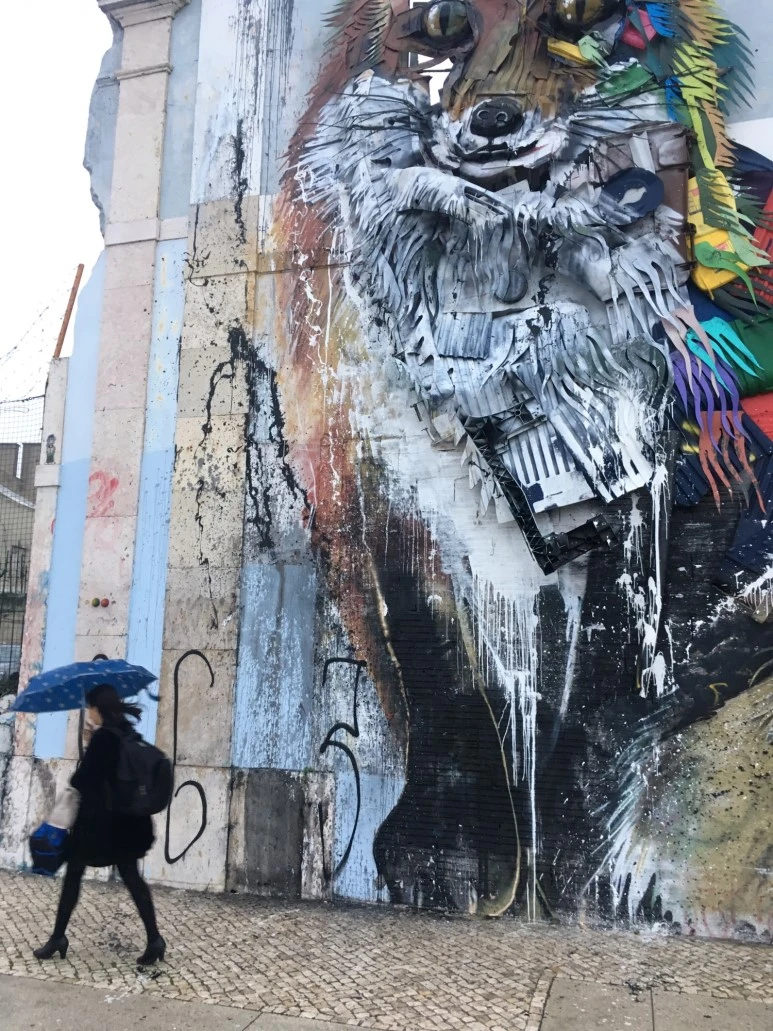 P20190131_173900742_DB958B79-37CD-40BE-B184-F2395E132A52.JPG?type=w773