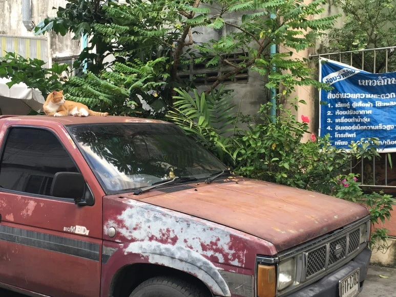 IMG_7465.JPG?type=w773