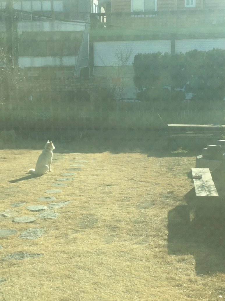 P20180112_104109716_EDBF1B18-76B4-4BA2-8869-953202ACFF14.JPG?type=w773