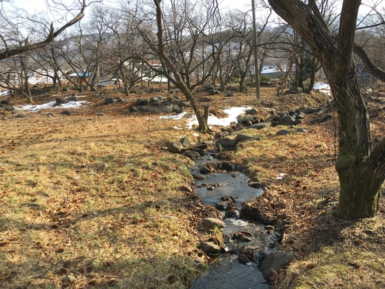 IMG_2768.JPG?type=w773