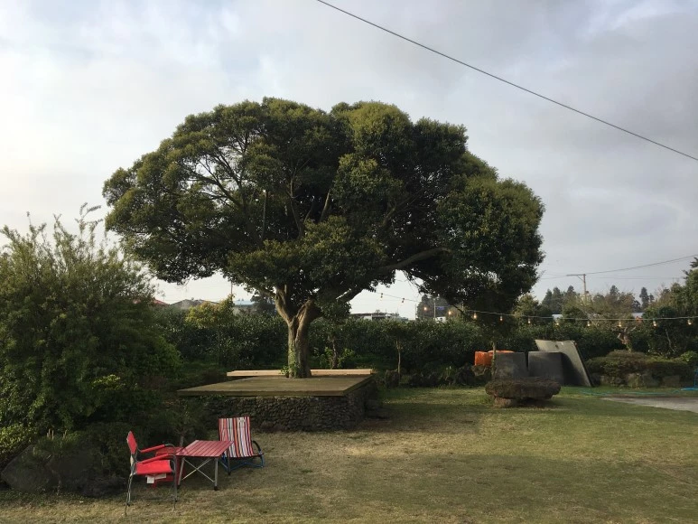 IMG_4686.JPG?type=w773