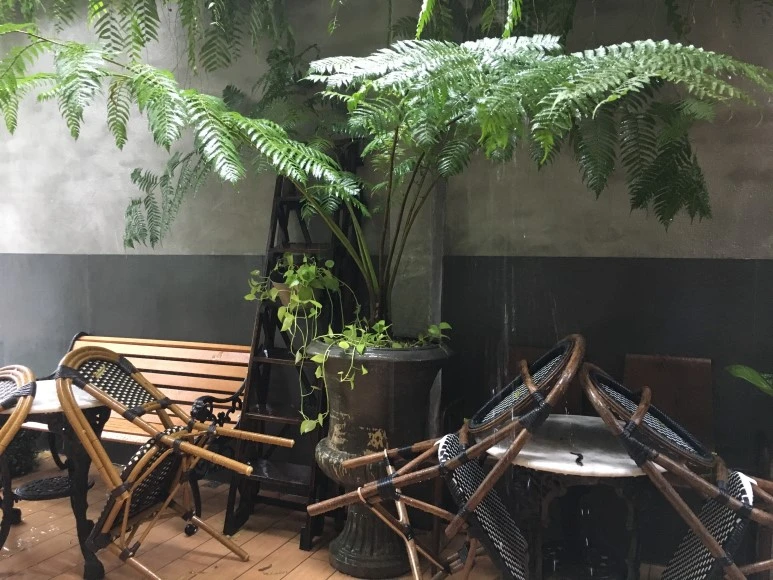 IMG_6936.JPG?type=w773