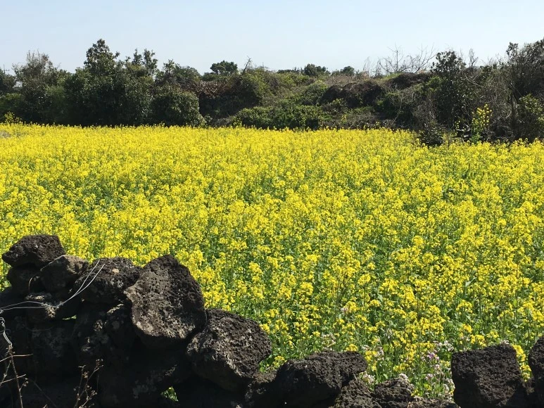 IMG_4752.JPG?type=w773