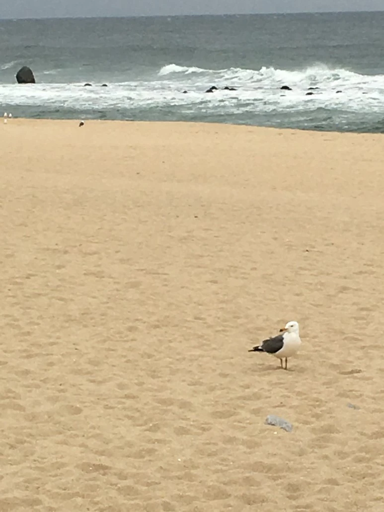 IMG_2361.JPG?type=w773