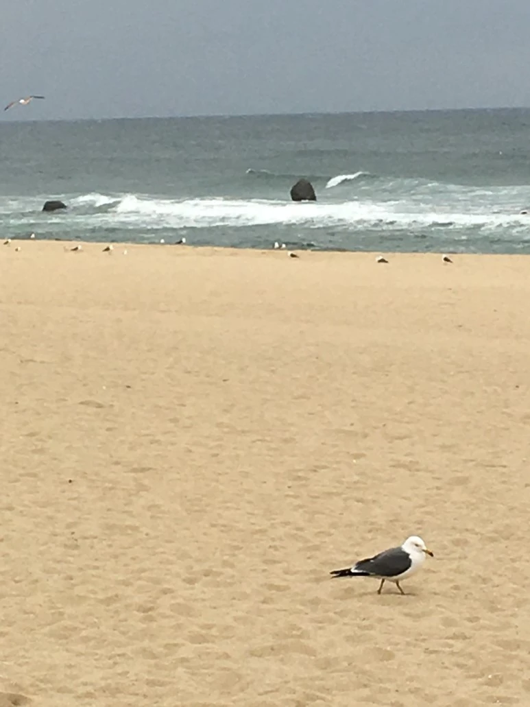 IMG_2359.JPG?type=w773