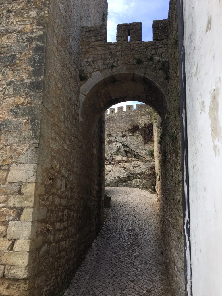 P20190201_123809528_7835B272-6376-4521-B238-D89B739E3EB8.JPG?type=w773