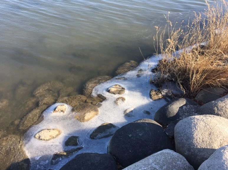 P20180111_135946373_A3D73C6B-D9C7-4E6E-98F8-9F452DD51E7A.JPG?type=w773