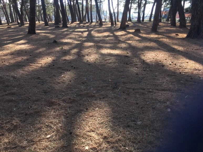 P20180111_143206572_C9FBE3E3-5928-4D33-883F-4F4422BE7529.JPG?type=w773