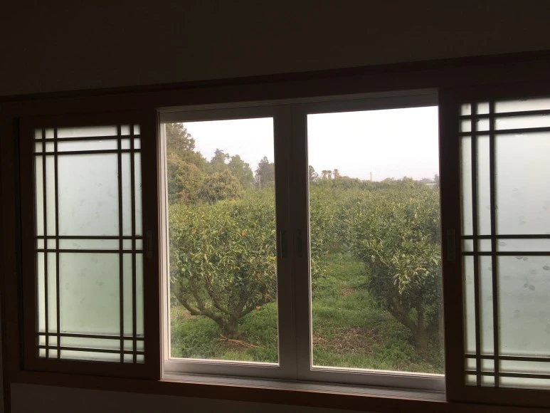 IMG_4684.JPG?type=w773