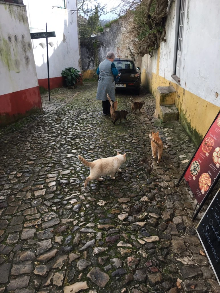 P20190201_120956503_DE7A4EAF-FF31-49EE-8F7A-5478FE51CBE3.JPG?type=w773