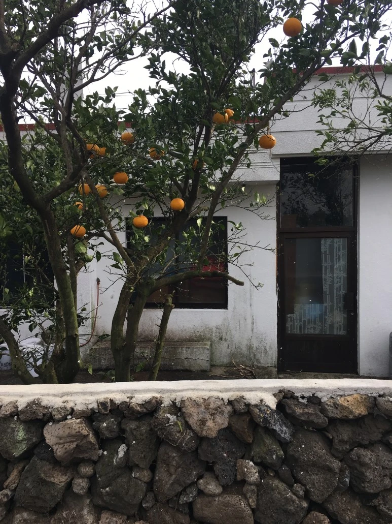 IMG_4417.JPG?type=w773