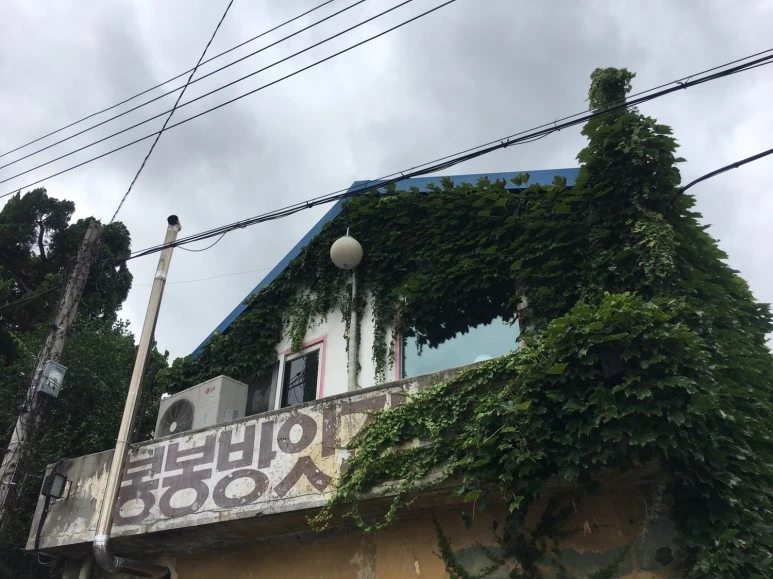 P20180729_152547853_DDFEA344-C54F-40F1-9AE4-4A15AF05D517.JPG?type=w773