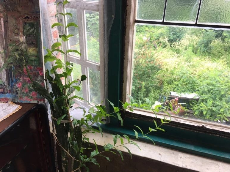 P20180711_130601102_F0CE4378-526D-4AAA-A19F-780C45B8B8AC.JPG?type=w773