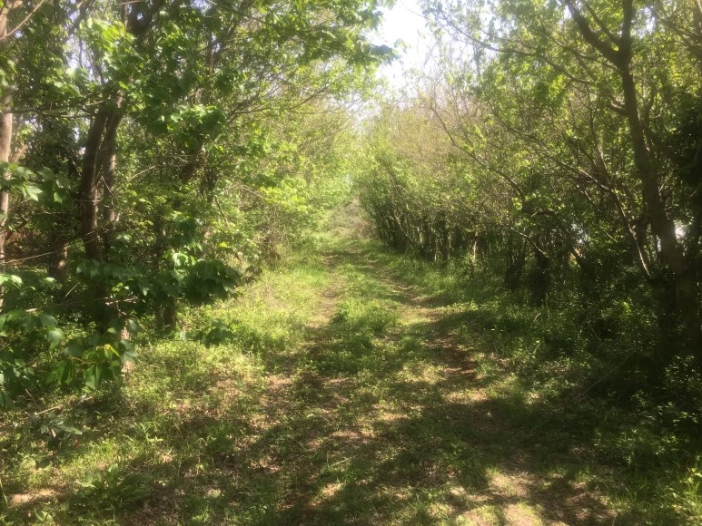 IMG_4734.JPG?type=w773