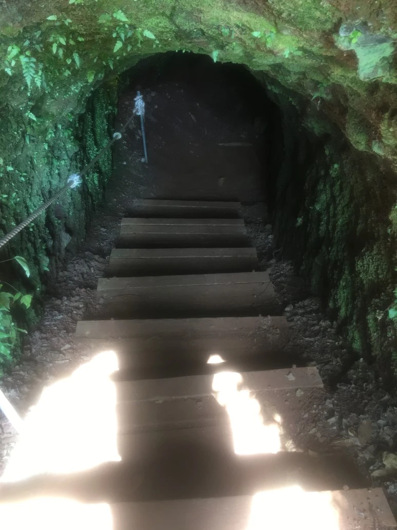 IMG_4729.JPG?type=w773