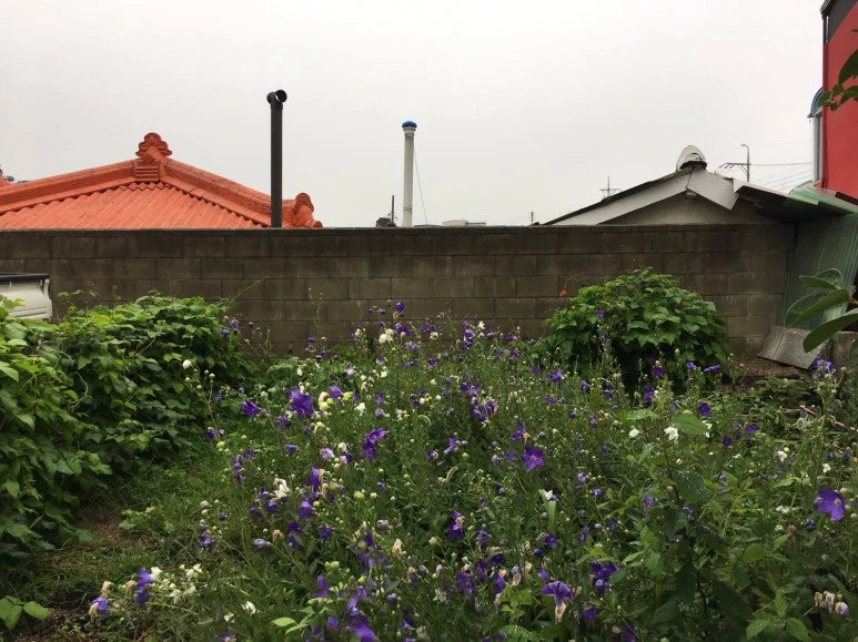 P20180710_094303447_E3932204-12C1-40BD-A317-DF59DC69FAA7.JPG?type=w773