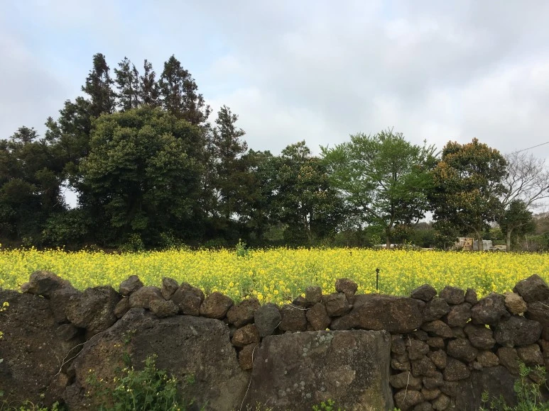 IMG_4693.JPG?type=w773