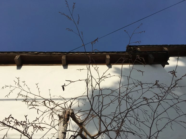 IMG_2777.JPG?type=w773