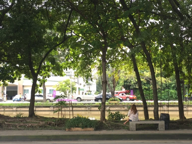 IMG_7194.JPG?type=w773