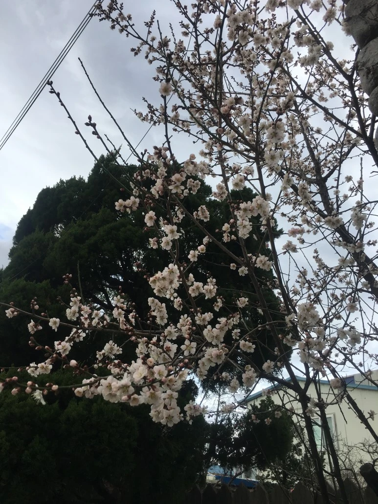 IMG_3248.JPG?type=w773