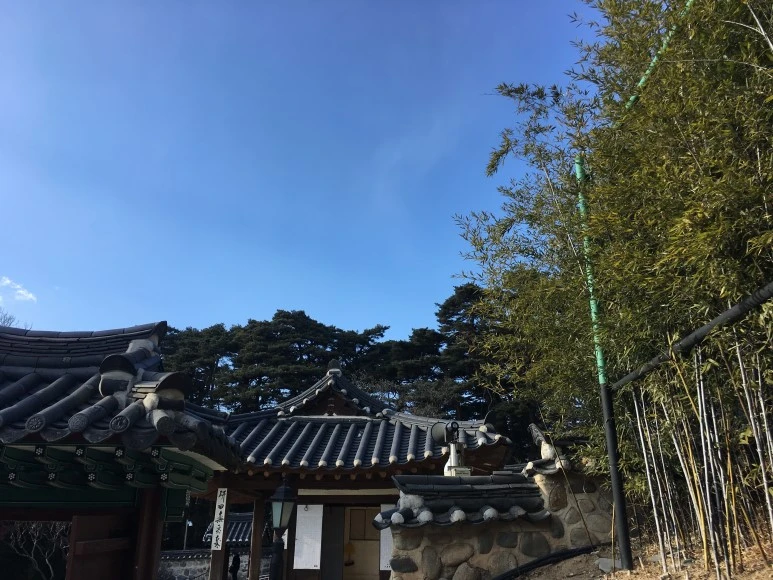 IMG_0560.JPG?type=w773