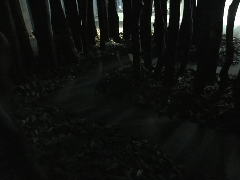 IMG_2704.JPG?type=w773