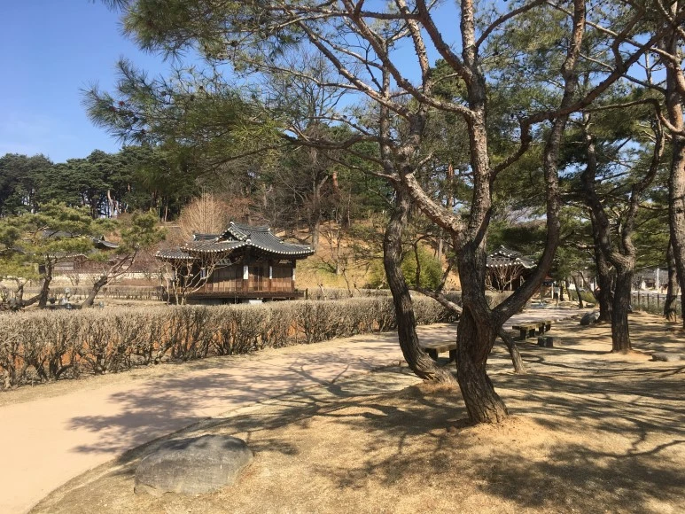 IMG_2995.JPG?type=w773