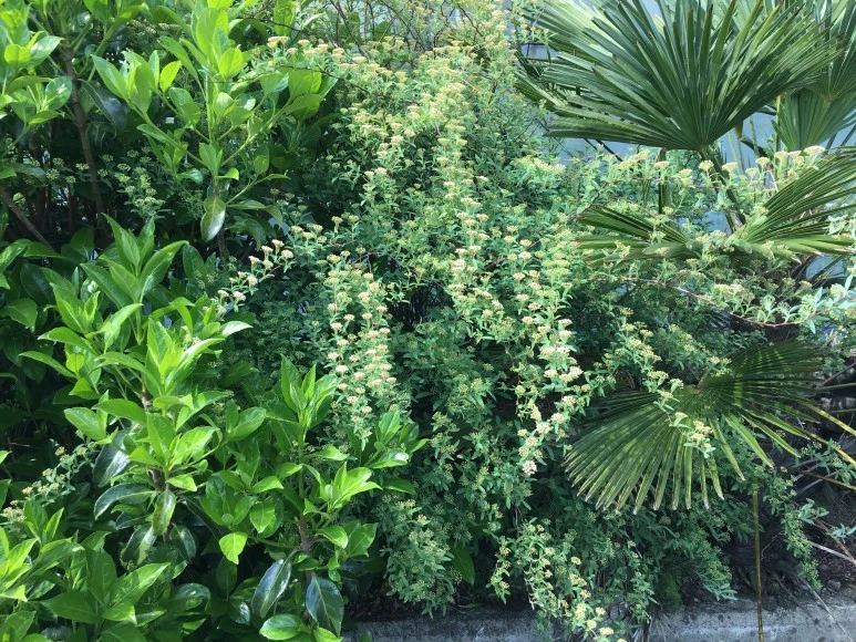 IMG_4371.JPG?type=w773