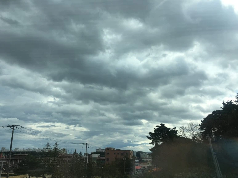 IMG_3256.JPG?type=w773