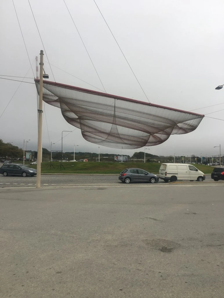 IMG_0103.JPG?type=w773