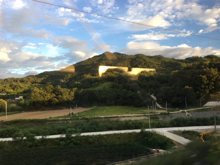 P20180729_191611807_2CDD1B22-59B2-4DC2-8F54-FDF8C04E7740.JPG?type=w773