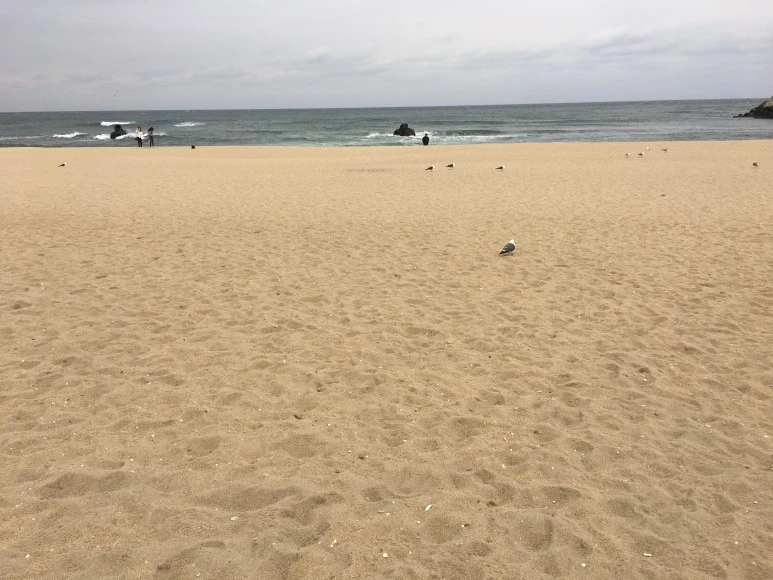 IMG_2343.JPG?type=w773