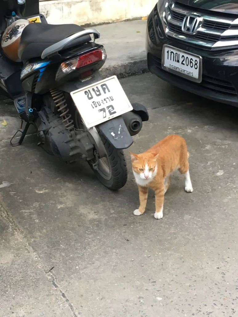 IMG_7461.JPG?type=w773