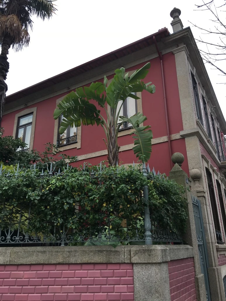 IMG_0171.JPG?type=w773