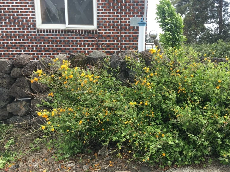 IMG_4415.JPG?type=w773