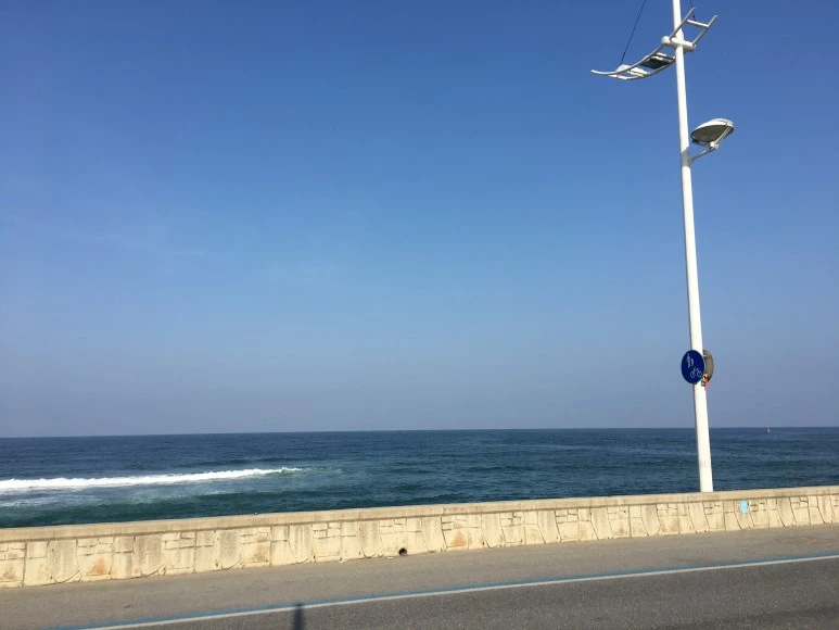 IMG_2919.JPG?type=w773