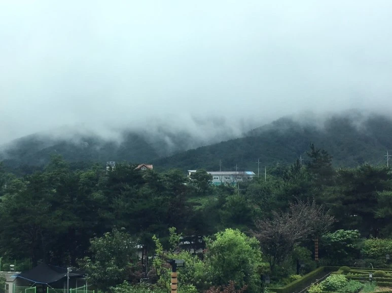 P20180710_121901928_930CF752-9B78-4096-845C-ED8D3B6E0122.JPG?type=w773