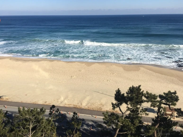 P20180111_104443160_DBE448FB-BF4C-4A29-8F42-71DB8C56EC8C.JPG?type=w773