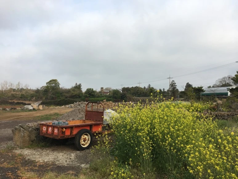 IMG_4697.JPG?type=w773