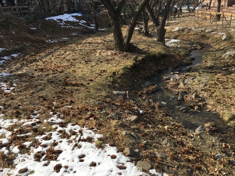 IMG_2770.JPG?type=w773