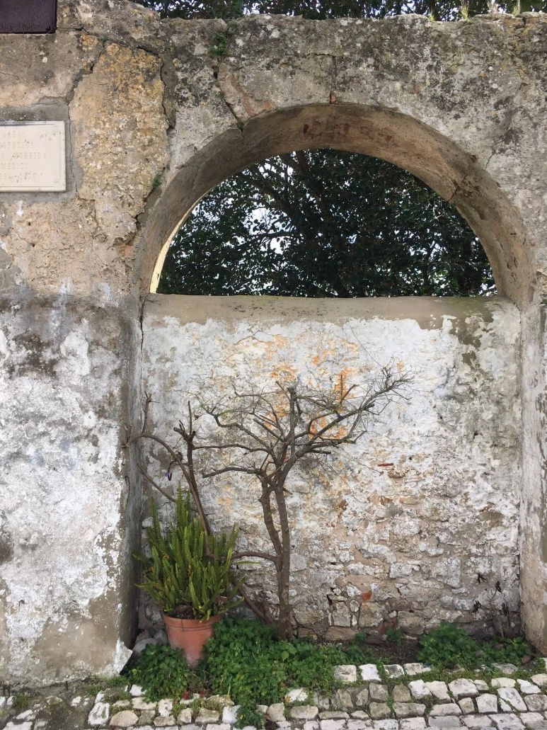 P20190201_110853749_3EBD7831-0871-41A4-9AEE-CD5276E018F3.JPG?type=w773