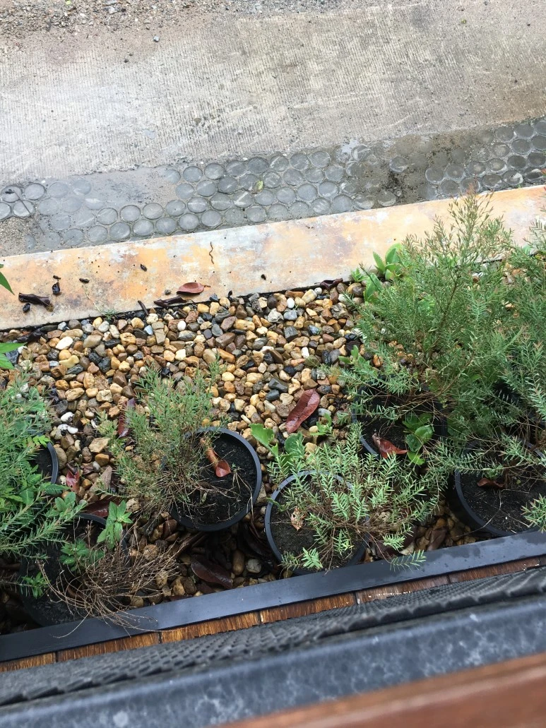 IMG_6959.JPG?type=w773