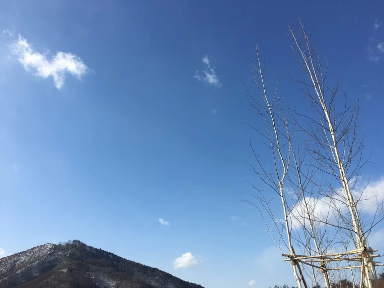 IMG_0527.JPG?type=w773