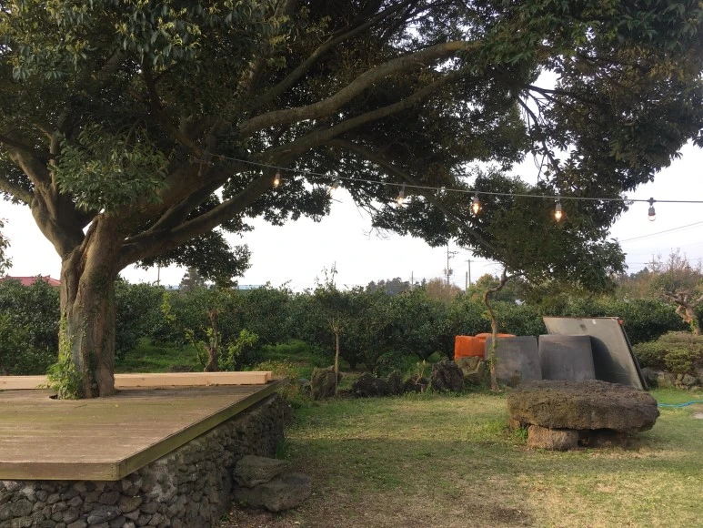 IMG_4689.JPG?type=w773