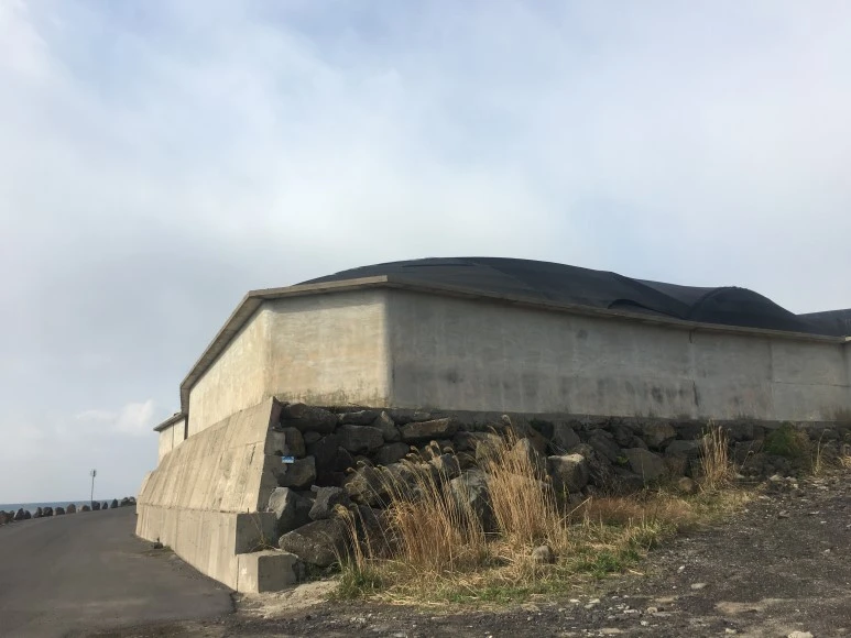 IMG_4247.JPG?type=w773