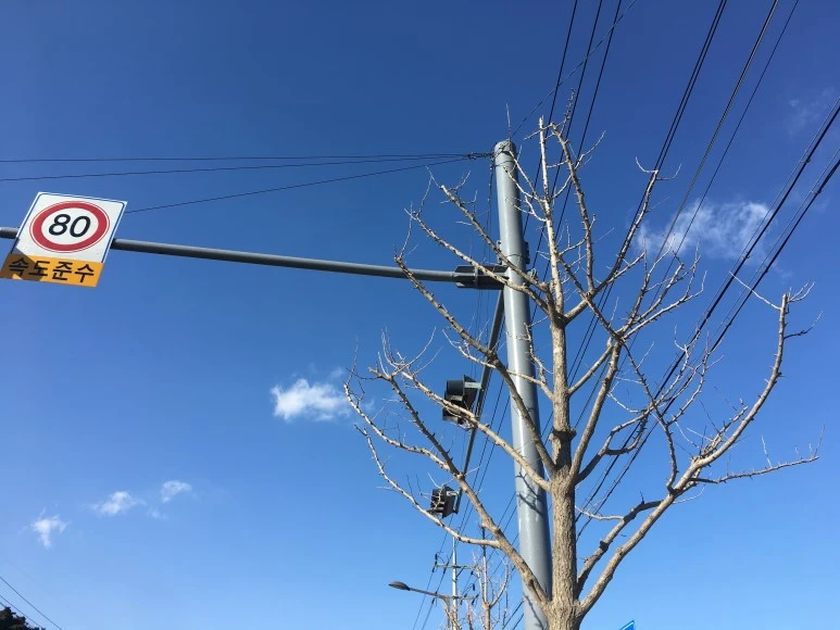 IMG_0544.JPG?type=w773