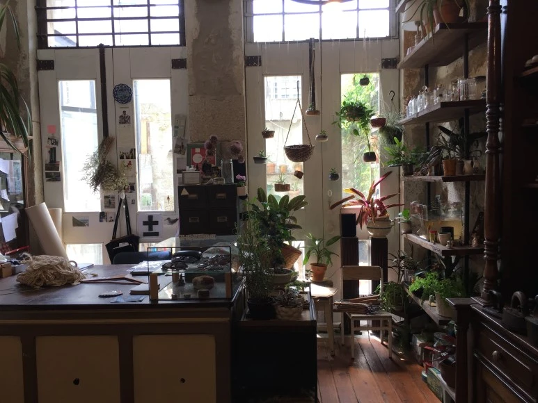 IMG_0439.JPG?type=w773